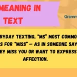 MS Meaning in Text