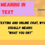 WYO Meaning in Text