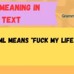 FML Meaning in Text