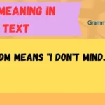 IDM Meaning in Text