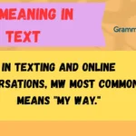 MW Meaning in Text