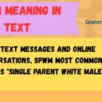 SPWM Meaning in Text