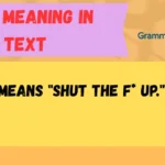 STFU Meaning in Text
