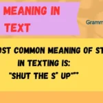 STSU Meaning in Text