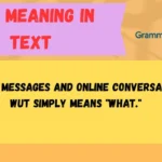 WUT Meaning in Text